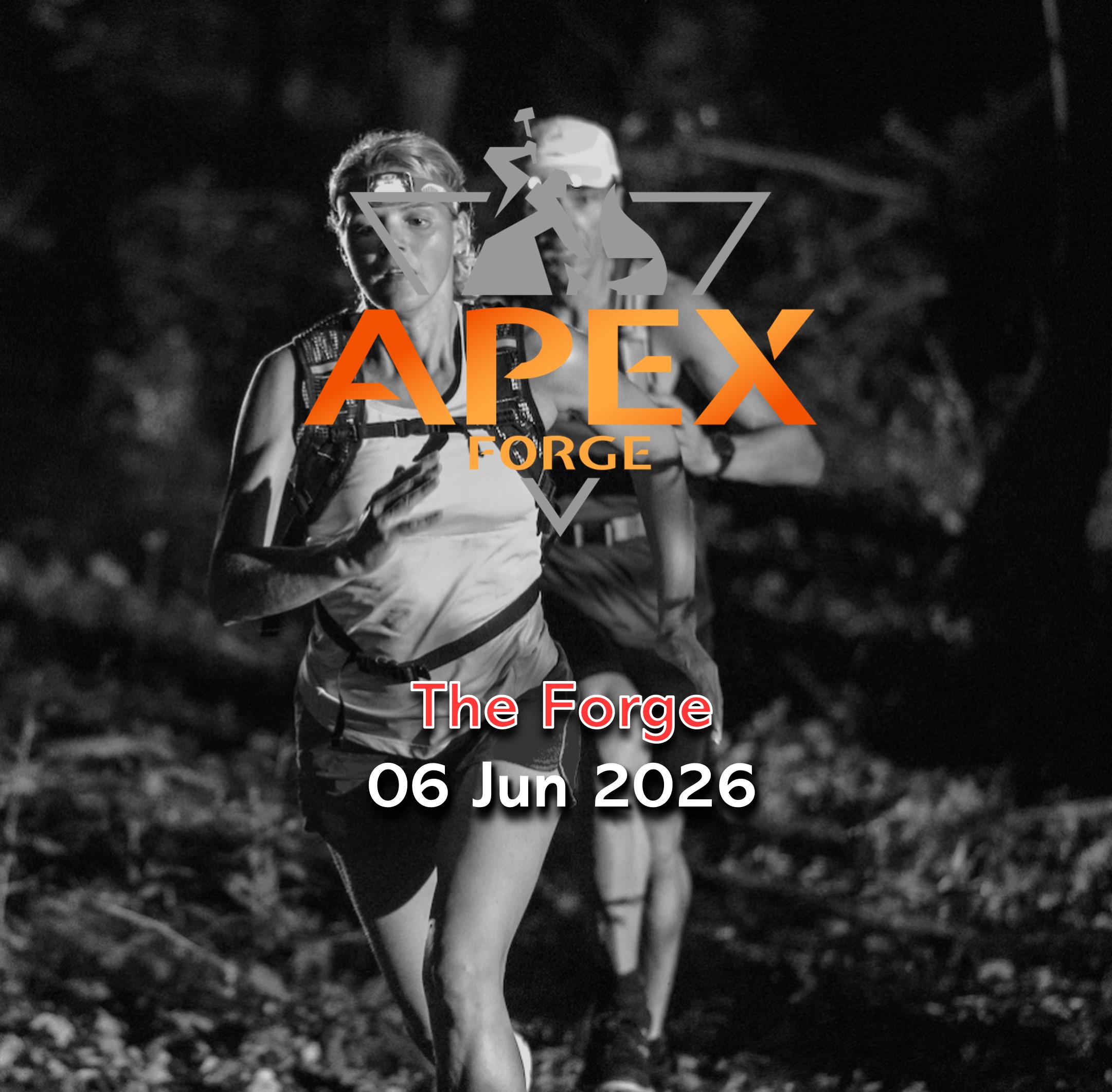 The Forge