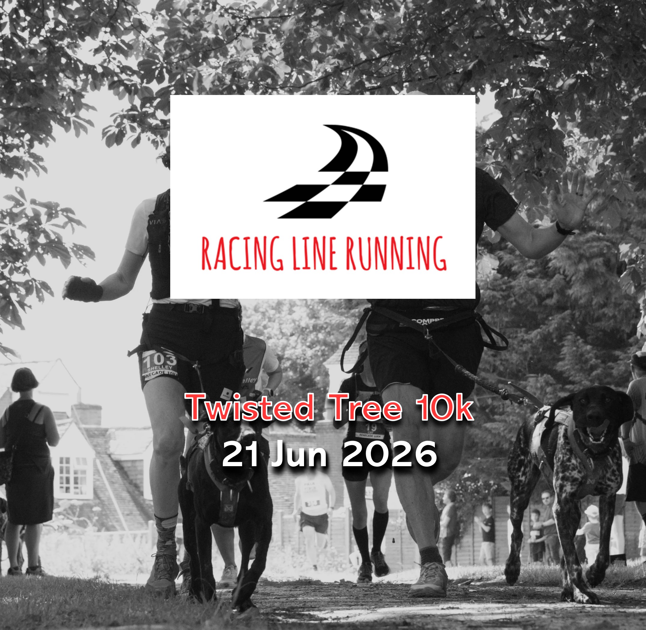Twisted Tree 10k